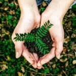 How Individual Actions Spark Environmental Change - EBEC